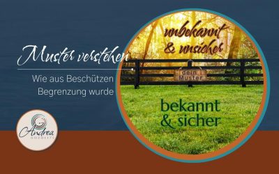 Muster verstehen – wie aus Beschützen Begrenzung wurde